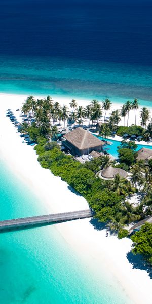 Breathtaking Maldives Island Beach with Lush Palm Trees and Clear Ocean