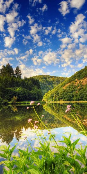 Breathtaking Lakeside View Under a Clear Blue Sky