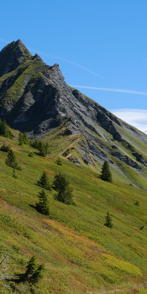 Phone wallpaper: Nature, Grass, Trees, Mountains, Landscape free download