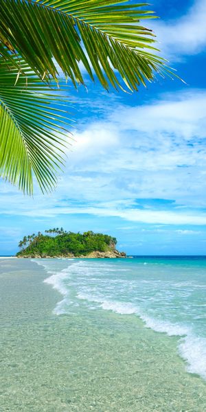 Breathtaking Tropical Beach Scene with Turquoise Waters