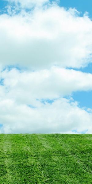 Phone wallpaper: Clouds, Landscape, Trees, Fields free download