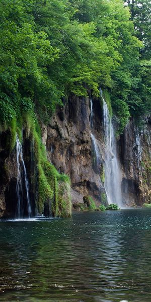 Serene Waterfall Surrounded by Lush Greenery