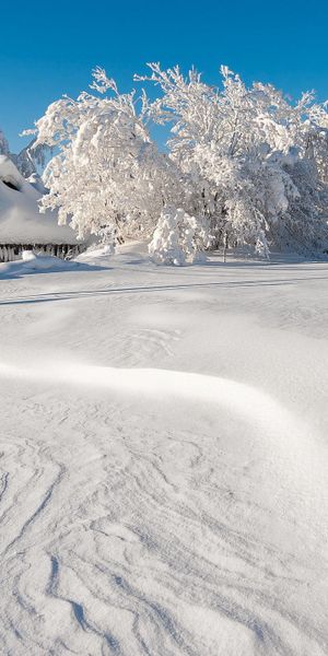 Charming Winter Scene: Snow-Covered Trees and Cozy Cabin for iPhone Wallpaper