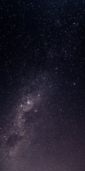 Breathtaking Milky Way in a Starry Night Sky