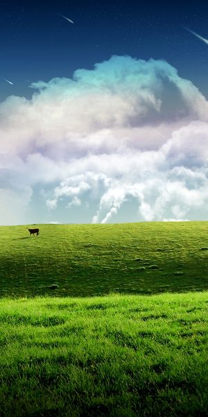Breathtaking 4K Mobile Wallpaper Featuring a Lush Green Landscape with a Tree