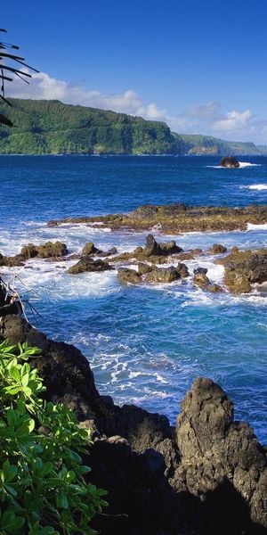 Beautiful Coastal Landscape with Vibrant Blue Sea