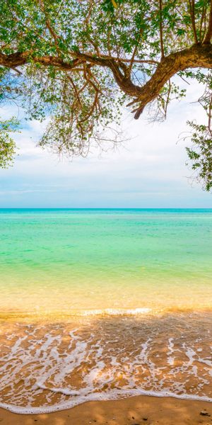 Breathtaking Beach Landscape with Clear Ocean Water and Greenery