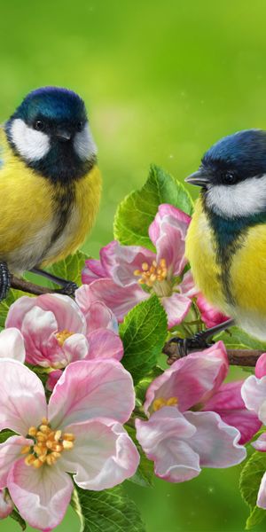Charming 4K Phone Wallpaper with Colorful Birds and Blossoming Flowers