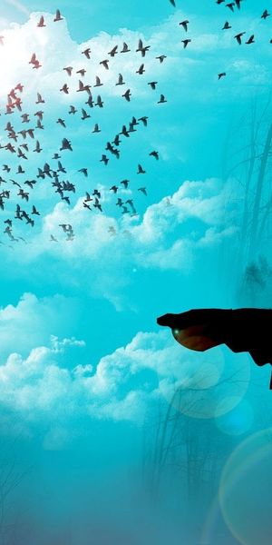 Breathtaking Turquoise Sky Landscape with Silhouette and Birds