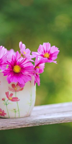 Phone wallpaper: Flower, Cup, Blur, Bouquet, Swing, Spring, Cosmos, Man Made, Pink Flower free downl