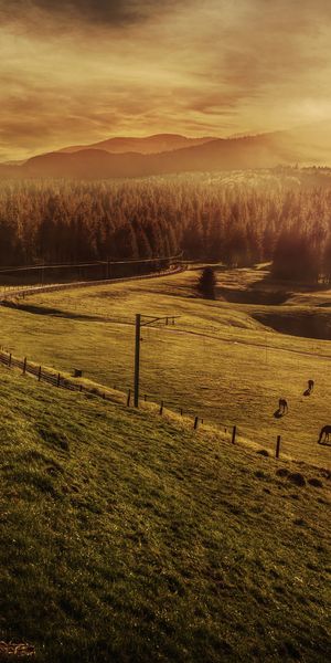 Breathtaking Horse Riding Scene at Sunset - 4K Mobile Wallpaper
