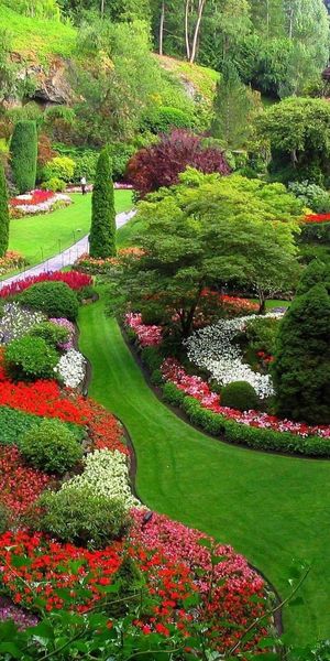Garden Landscape with Vibrant Flowers and Paths