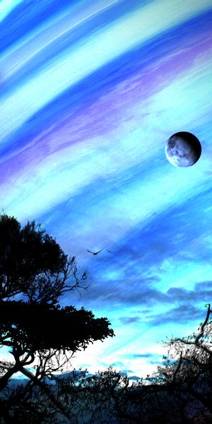 Explore a mesmerizing mobile wallpaper featuring a blue planet, trees, and stars
