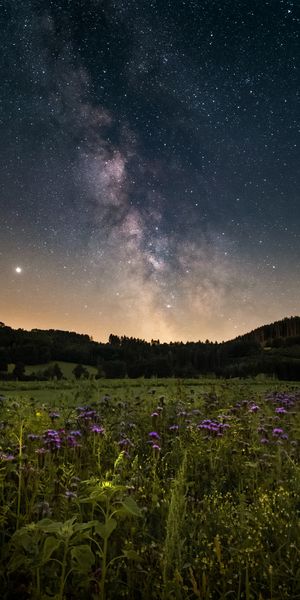 Breathtaking Nebula Above a Flower Field Under the Starry Sky
