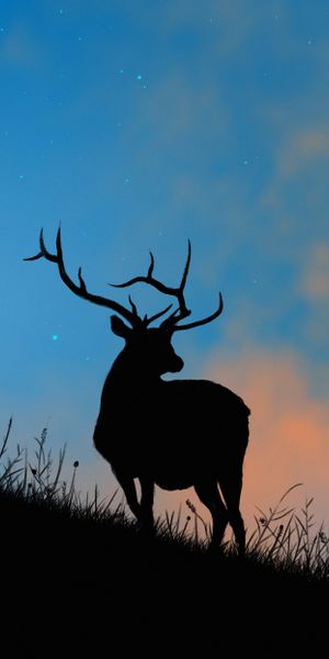 Phone wallpaper: Deer, Horns, Dusk, Twilight, Stars, Silhouette, Art free download