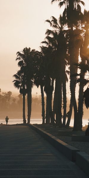Tranquil Sunset Jogging Silhouette with Palms