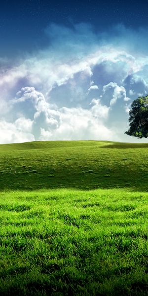 Beautiful Green Tree Landscape Perfect for Phone Wallpaper