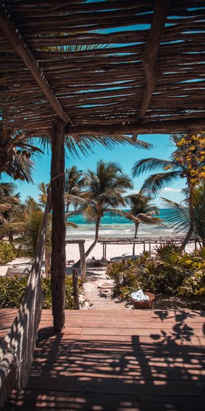 Tropical Beach View with Palms and Blue Skies