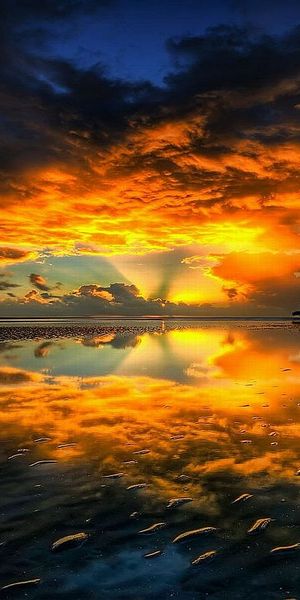 Breathtaking Sunset Reflection on Earth