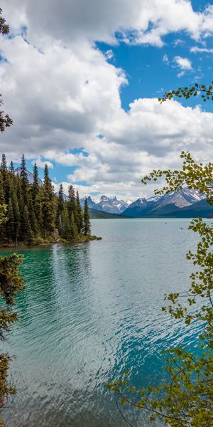 Breathtaking phone wallpaper featuring a tranquil lake, lush trees, and majestic mountains
