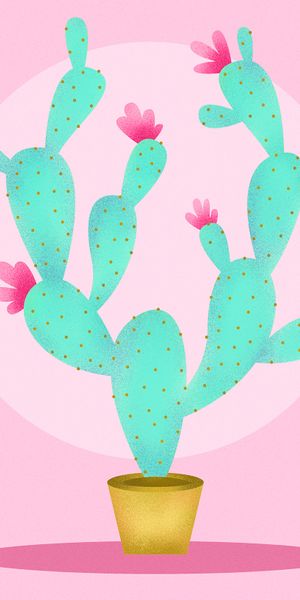 Phone wallpaper: Cactus, Pink, Art, Flowers free download
