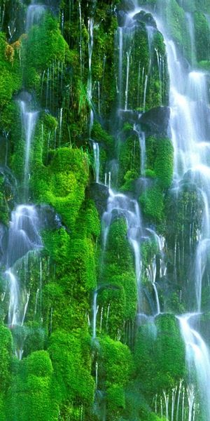 Green Waterfalls for Mobile Wallpaper