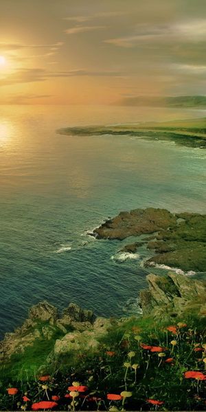 Breathtaking Sunset Coast with Lighthouse and Poppies