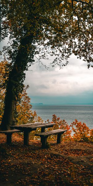Autumn Serenity: Benches Overlooking the Sea