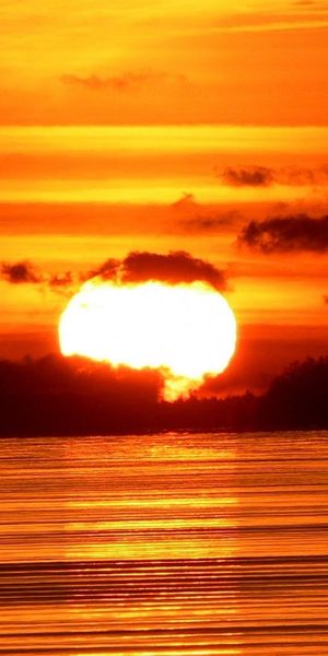 Phone wallpaper: Sun, Bird, Lake, Earth, Sunset free download