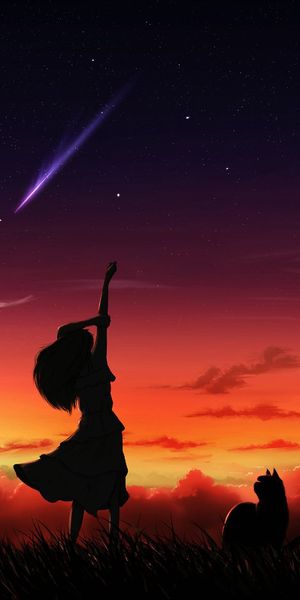 Captivating phone wallpaper featuring a silhouette of a girl and cat under a shooting star