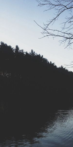 Phone wallpaper: Shore, Bank, Trees, Rivers, Night, Dark free download