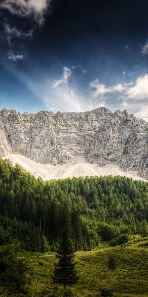 Phone wallpaper: Mountains, Forest, Mountain, Earth, Cloud, Landscape free download