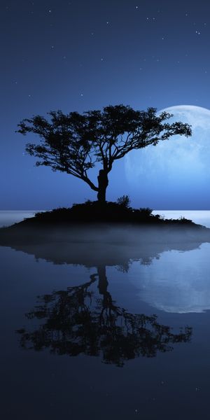 Moonlit Island with Tree Reflection in Water