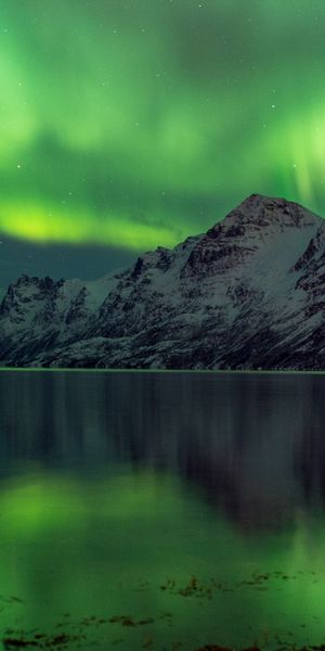 Phone wallpaper: Night, Snow, Earth, Aurora Borealis free download
