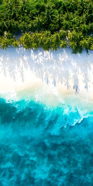 Breathtaking Aerial View of a Tropical Beach with Palms and Clear Waters