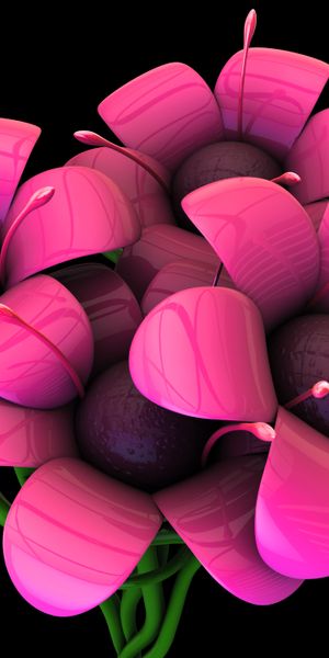 Phone wallpaper: Plant, Flowers, Flower, Artistic free download