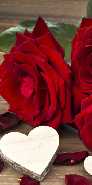 Beautiful red roses and heart-shaped decorations for phone wallpaper
