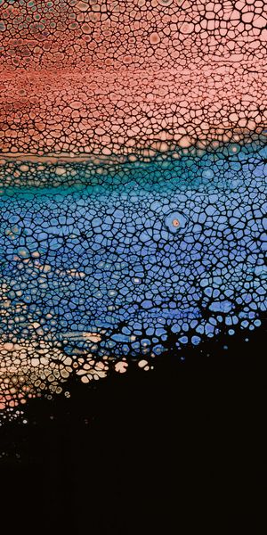 Phone wallpaper: Texture, Motley, Divorces, Multicolored, Abstract, Liquid, Bubbles free download