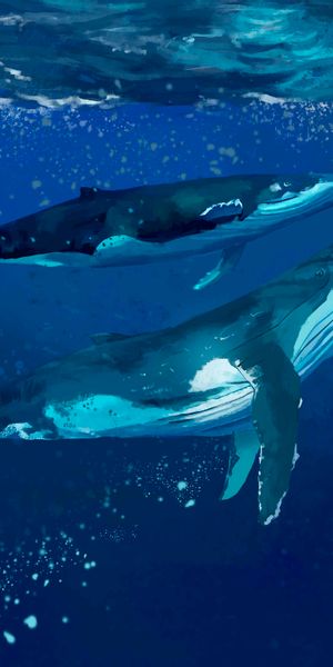 4k Underwater Art Featuring Majestic Whales