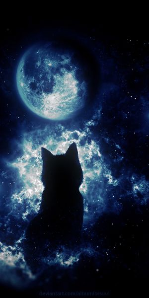 Enchanting Cat Silhouette Under a Starry Sky - 4K iPhone Wallpaper
