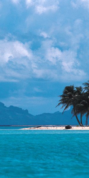 Breathtaking 4K Beach Wallpaper: Tropical Paradise with Lush Palms
