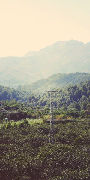 Phone wallpaper: Trees, Wire, Mountains, Nature, Wires free download
