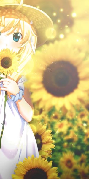 Phone wallpaper: Anime, Flower, Blur, Field, Sunflower, Blue Eyes, Blush, Straw Hat, Grisaia No Kaji