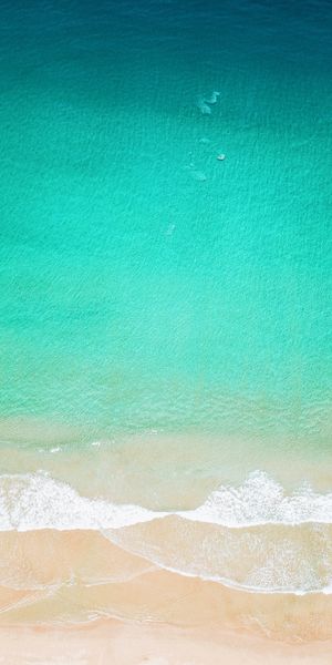 Aerial View of the Beautiful Ocean and Beach Waves