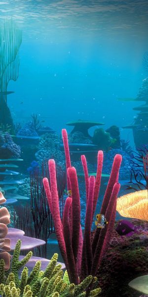 Explore a Colorful Underwater World: Coral Reef Phone Wallpaper