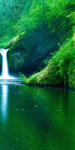 Beautiful Waterfall in a Lush Green Paradise