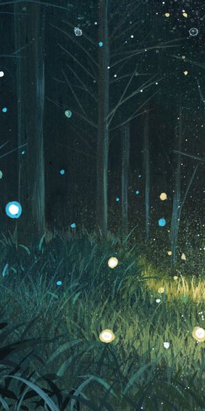 Magical Forest Phone Wallpaper: A Captivating Anime-Inspired Scene