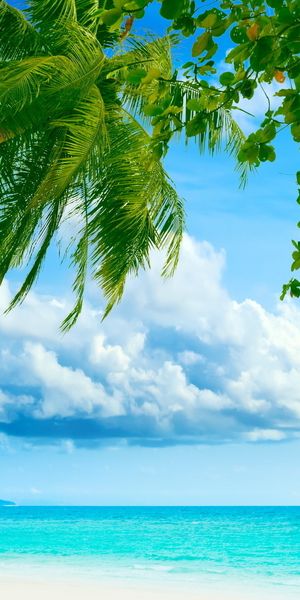 Tropical Beach Landscape with Palm Trees and Blue Sea