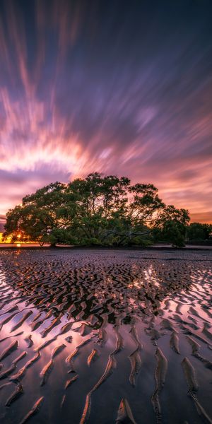 Phone wallpaper: Nature, Sunset, Sky, Beach, Horizon, Tree, Earth free download