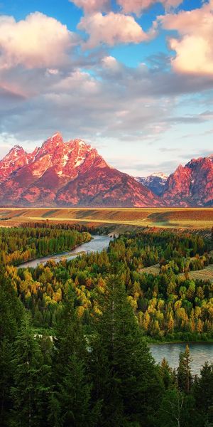 Phone wallpaper: The Teton Range, Wyoming, Grand Teton National Park, Wood, River, Mountains, Forest